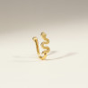Bijou de nez doré serpent