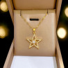 Collier doré étoile strass Acier